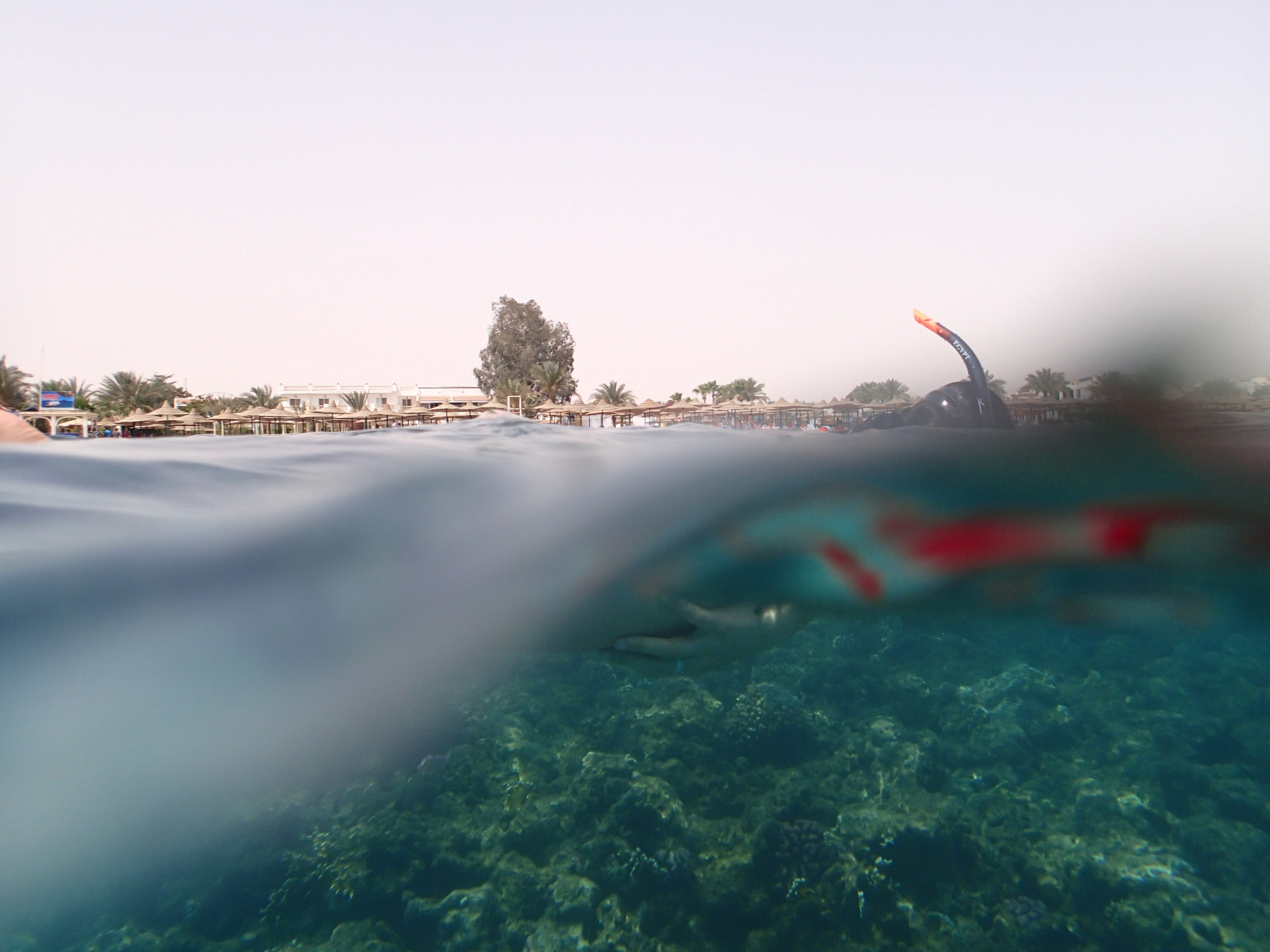 emplacement Book Of Ra Temple Of Gold