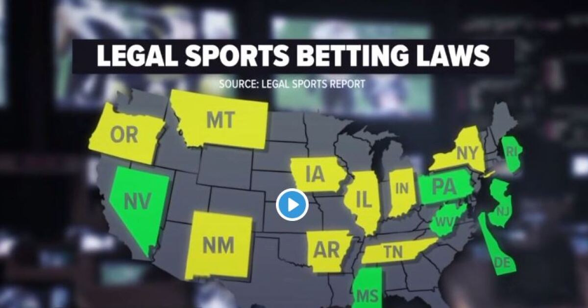 cricket betting tip