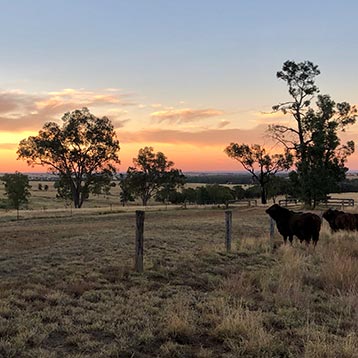 indinero review of accounting software