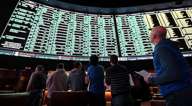 cricket betting tip